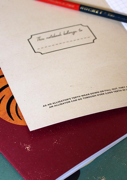 ANIMAL NOTEBOOK SET 1