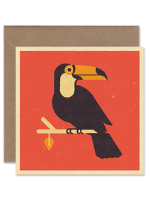 TOUCAN