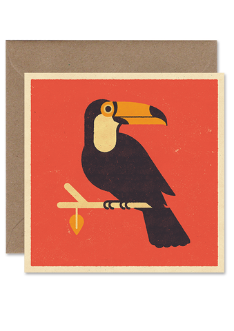 TOUCAN